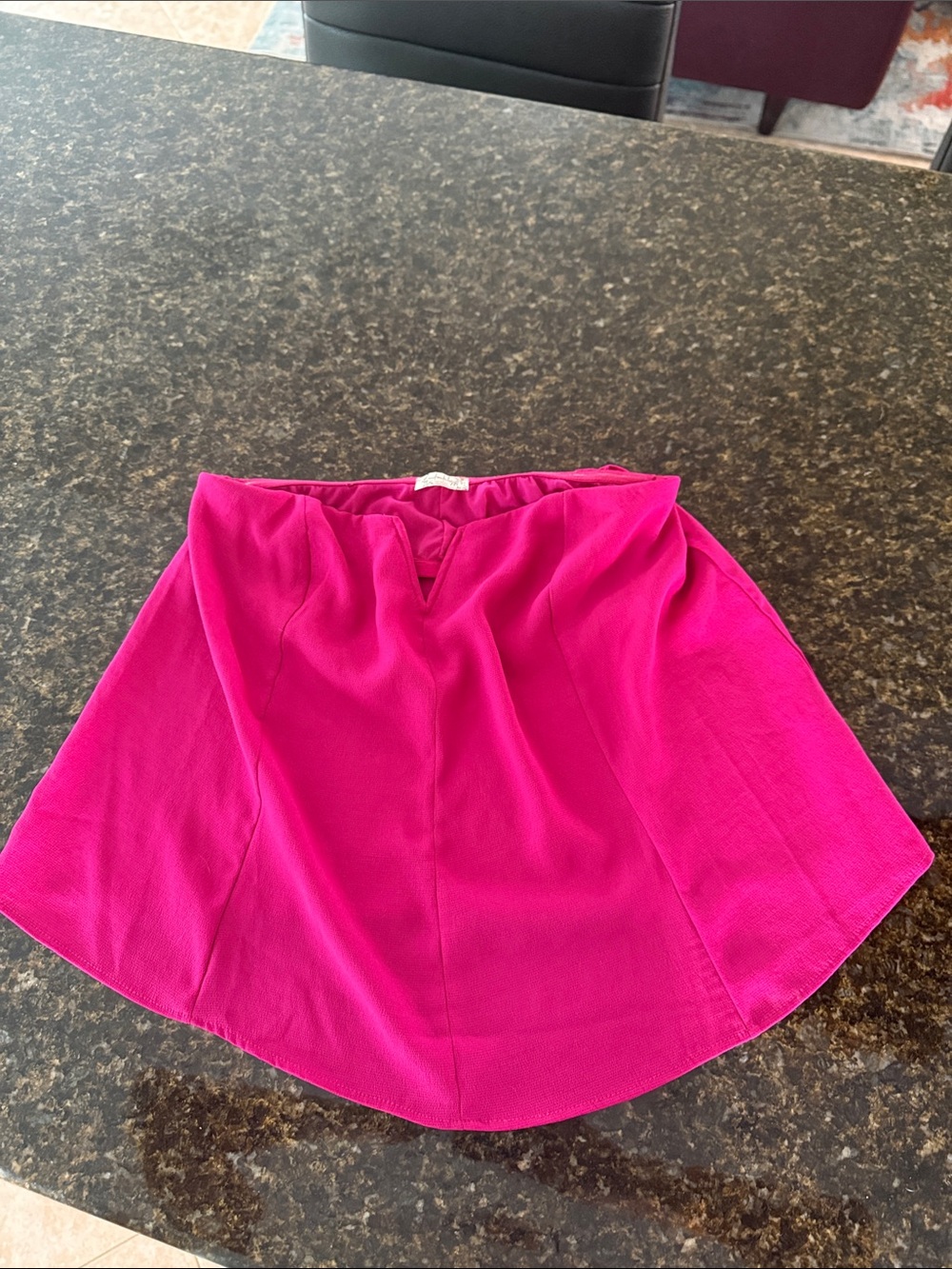 Free People Fuchsia Circle Skirt
